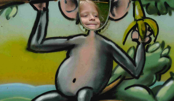 Zobraziť fotografiu